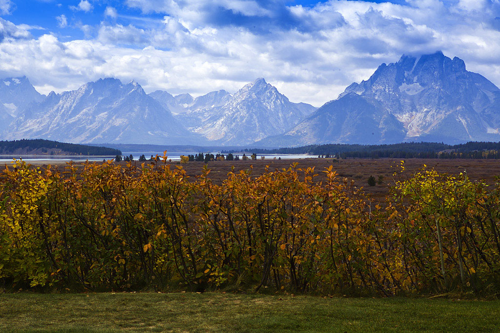 _MG_2905-=.jpg