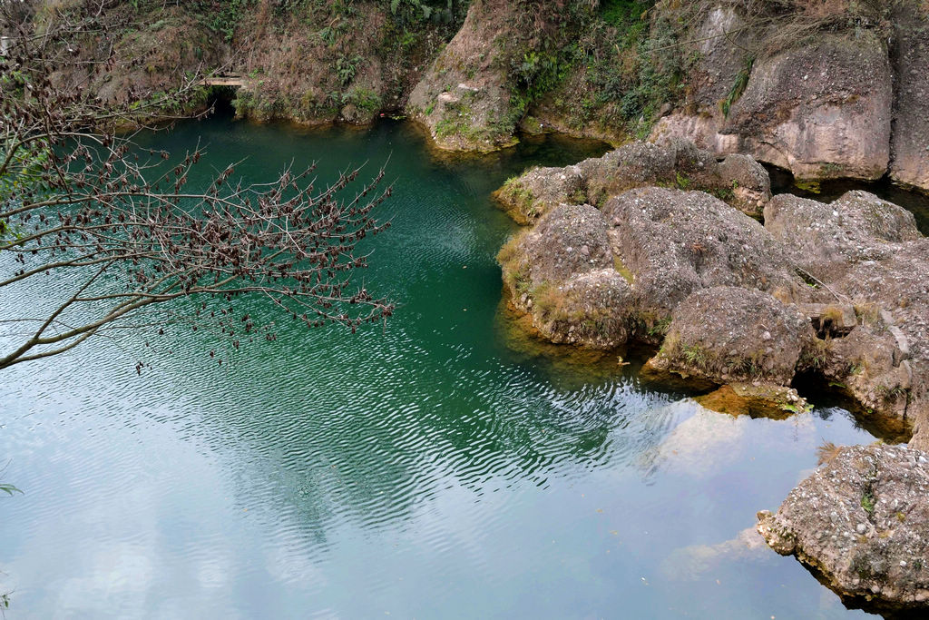 DSC_7102.jpg