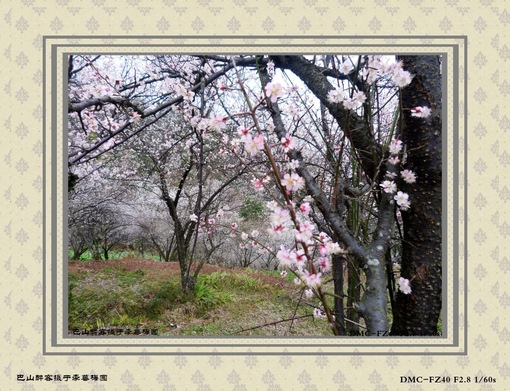 P1030228_conew1.jpg