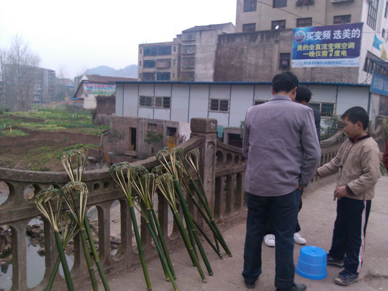 IMG_20130223_095336.jpg