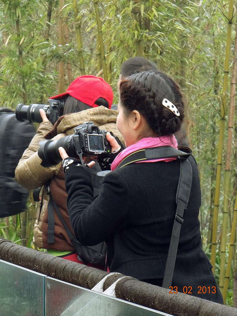 DSC05014.JPG