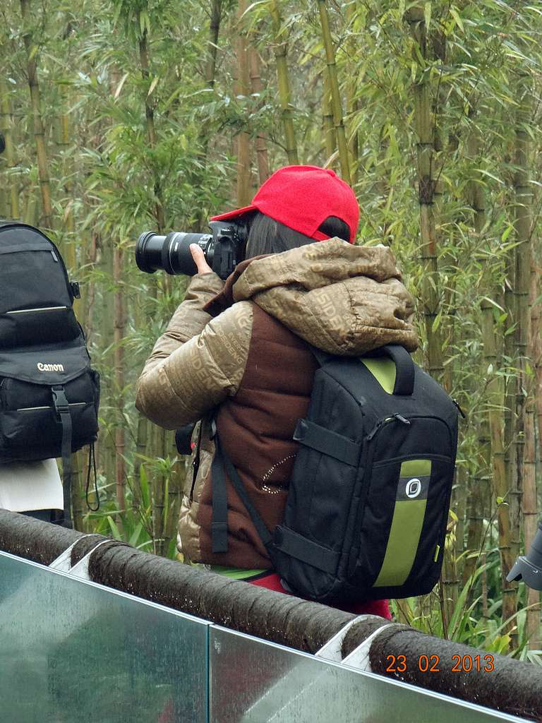 DSC05015.JPG