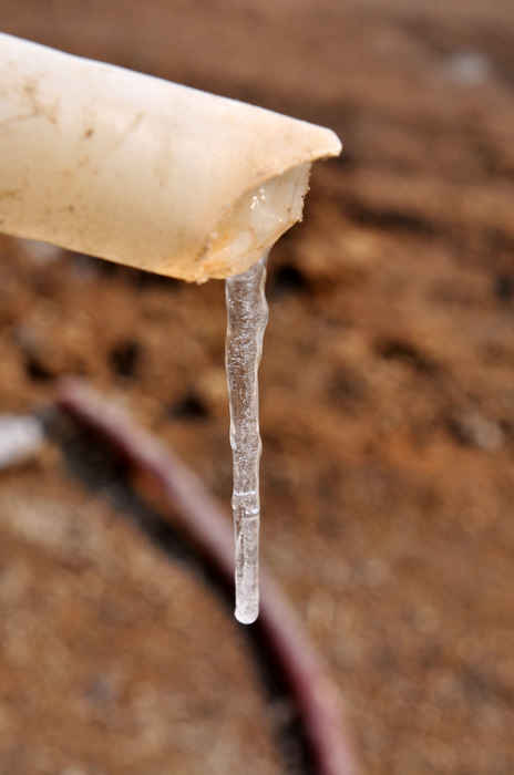 nEO_IMG_DSC_0673.jpg