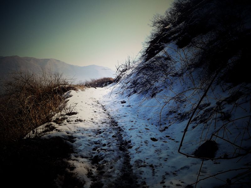 DSCF0820_.jpg