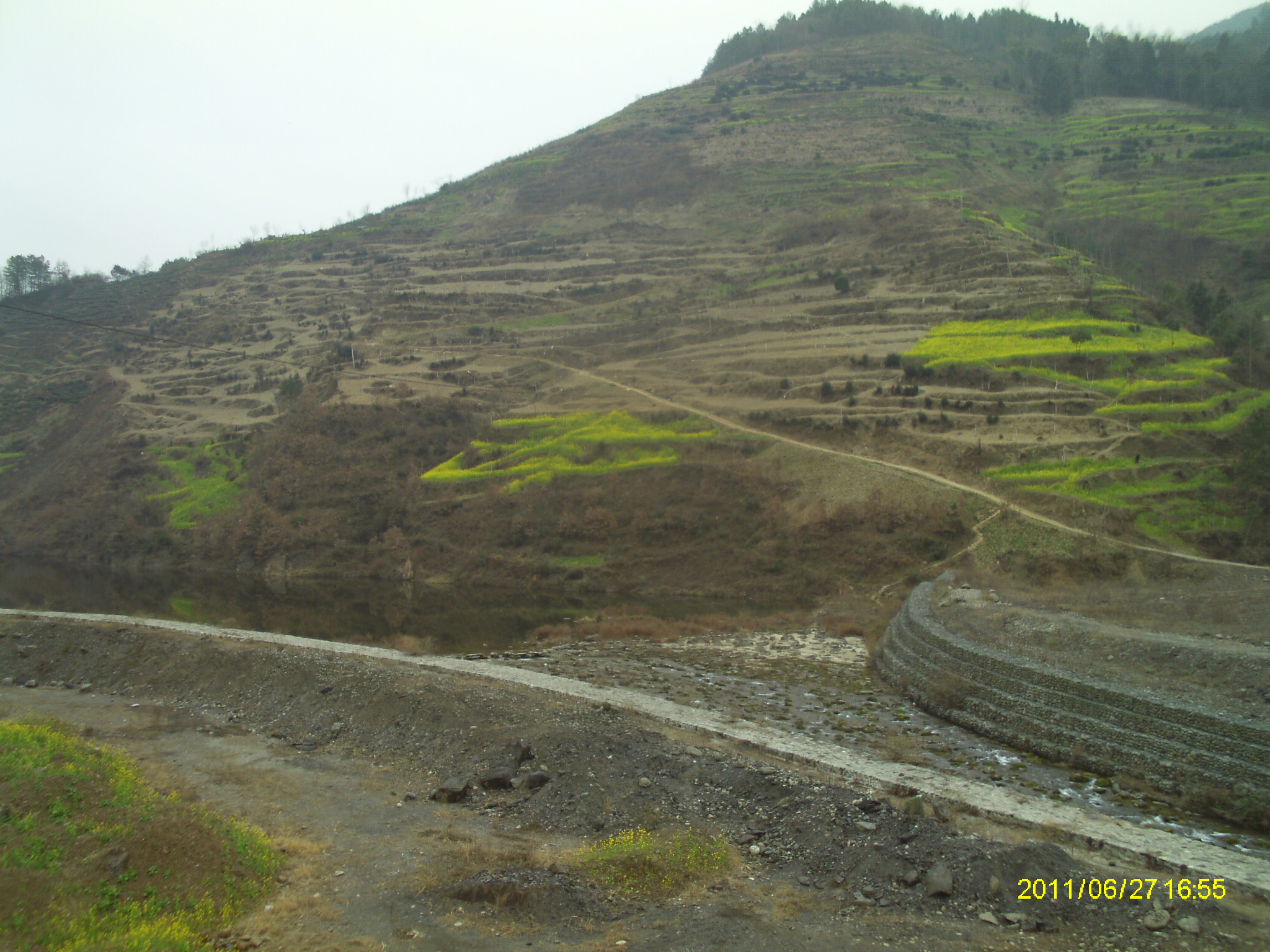 IMAG0197.JPG