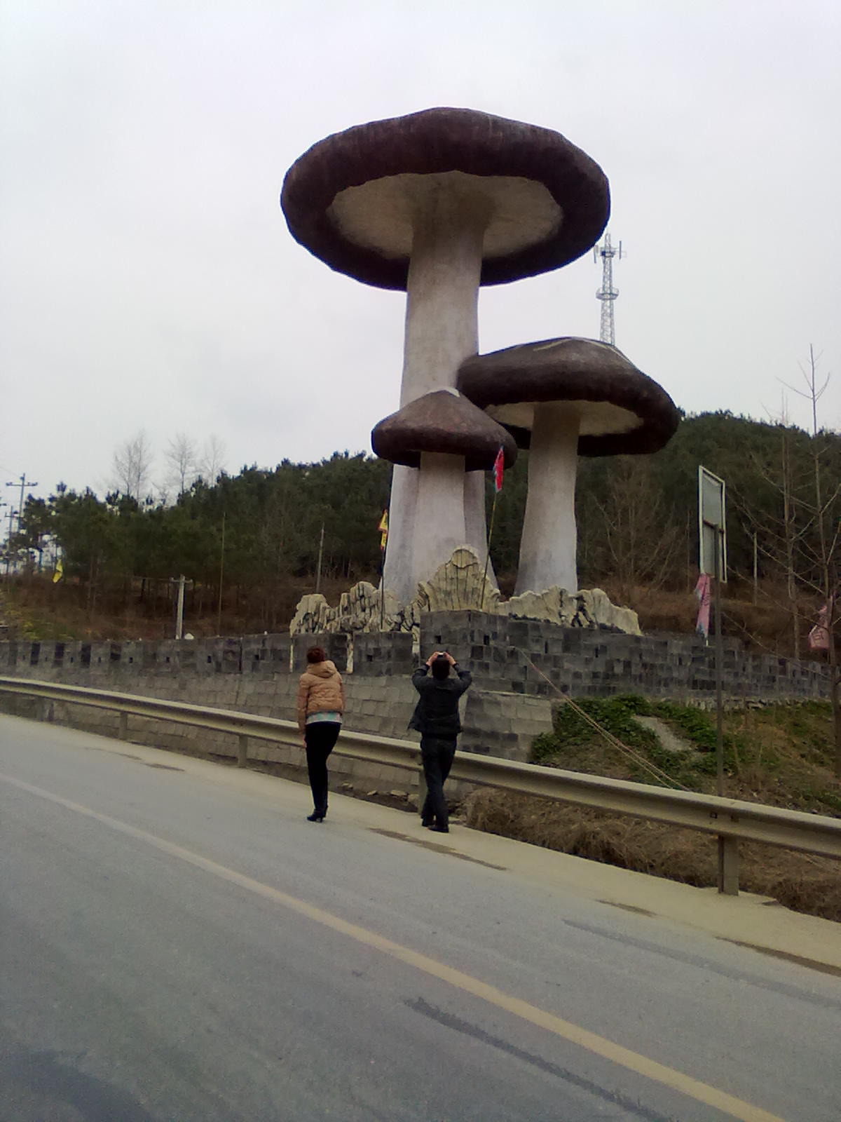 Ƭ 039.jpg