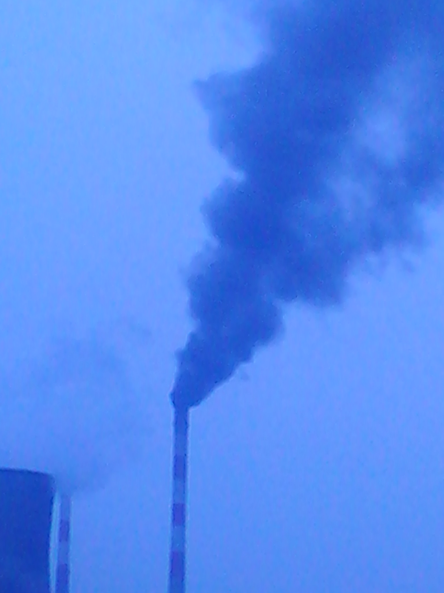 IMG_20130301_073930.jpg