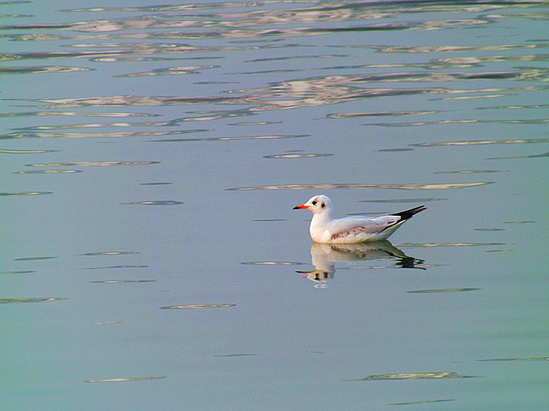 DSCF5887.jpg