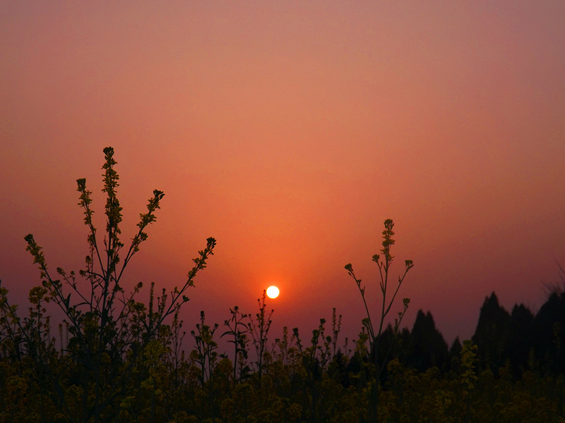 DSCF7373.jpg