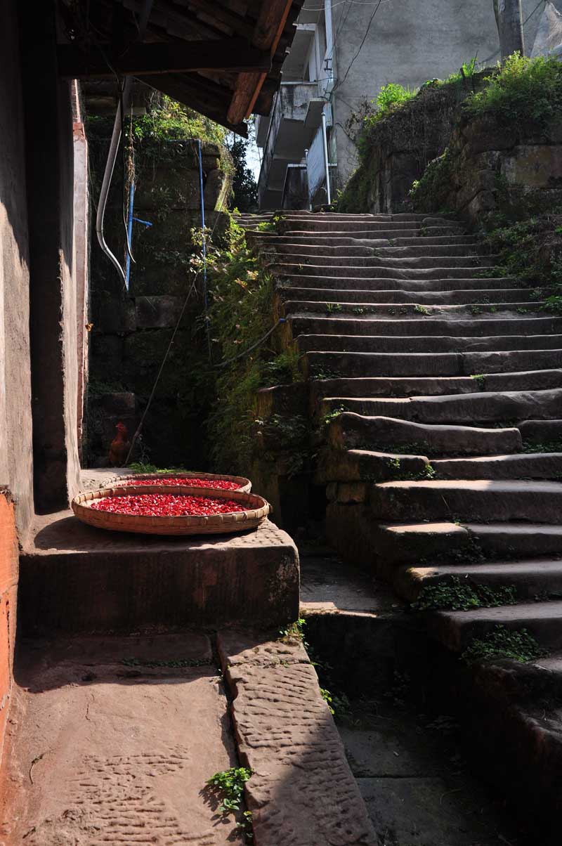 沐川炭库的魅力