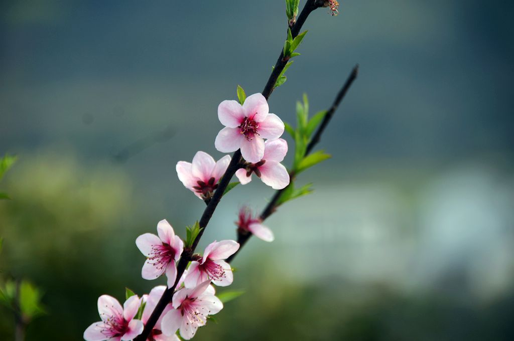 DSC01225_.jpg