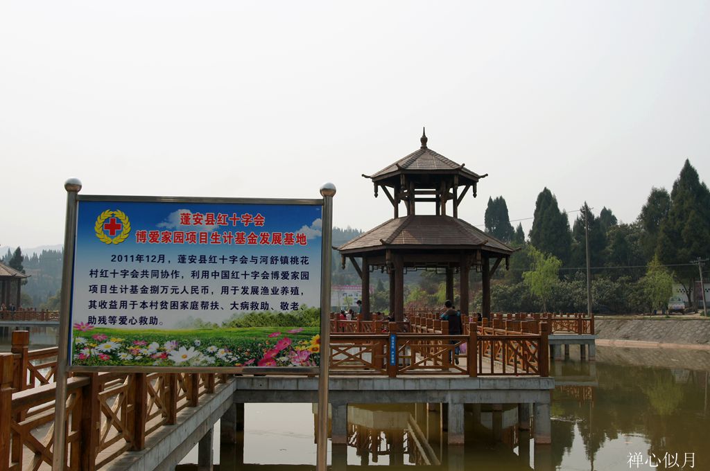 DSC01241_.jpg