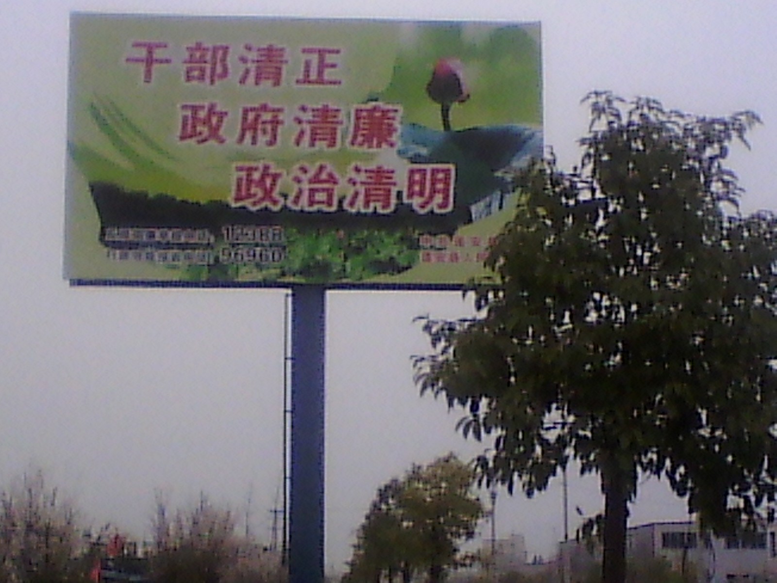 IMG_20130302_173003.jpg