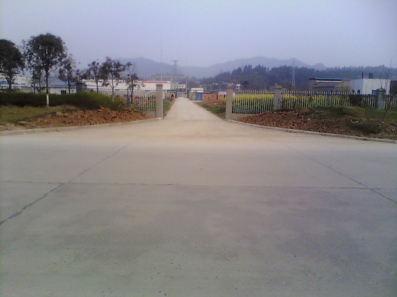 IMG_20130309_171311.jpg