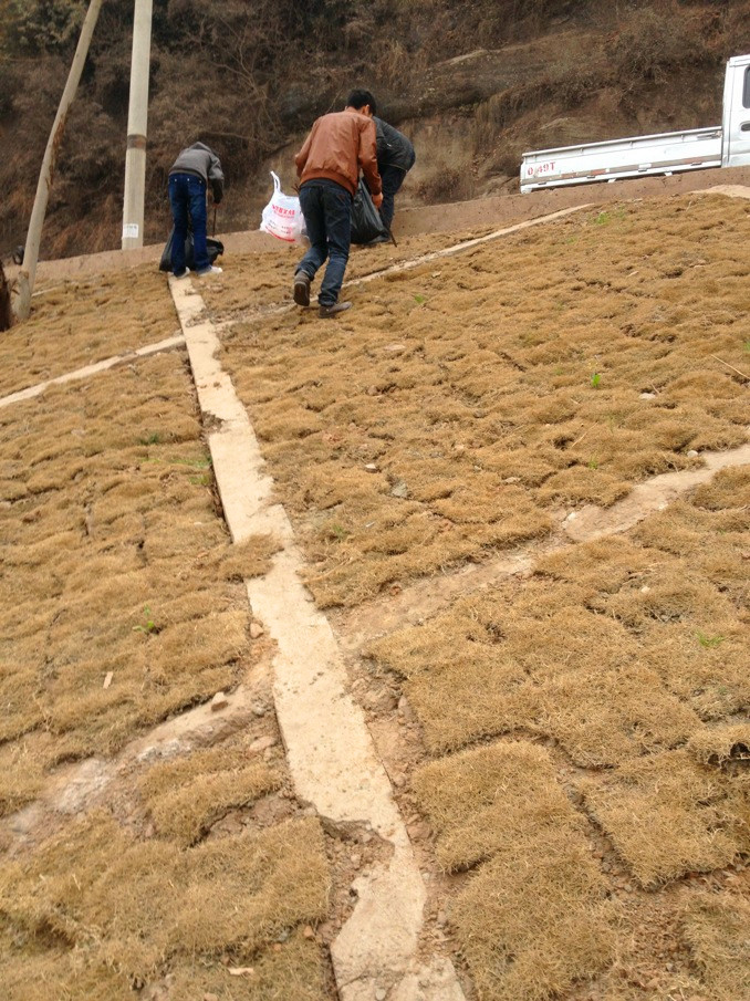 志愿者3月9日在璧山坡捡垃圾,记录那些污染,整