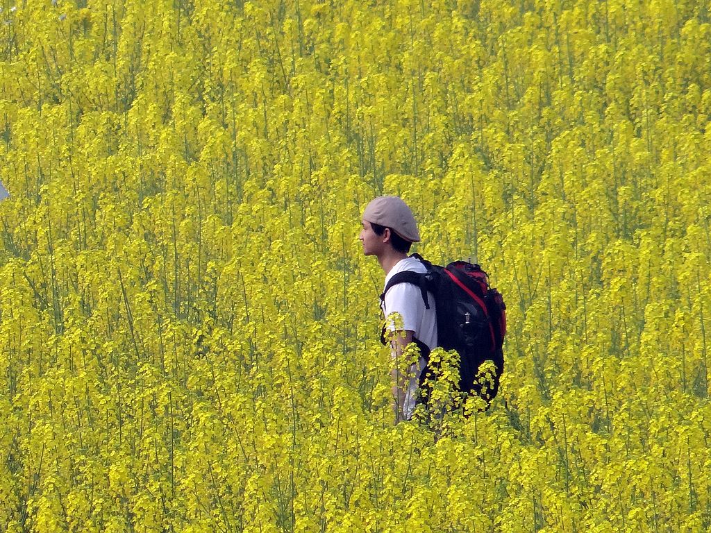 3.JPG