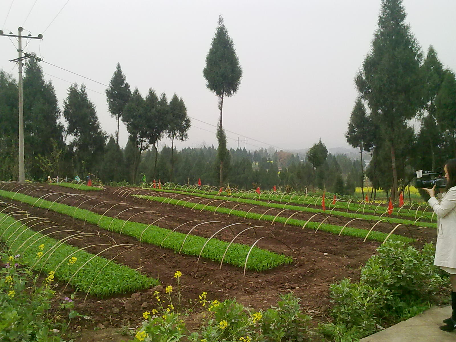 201303113990.jpg