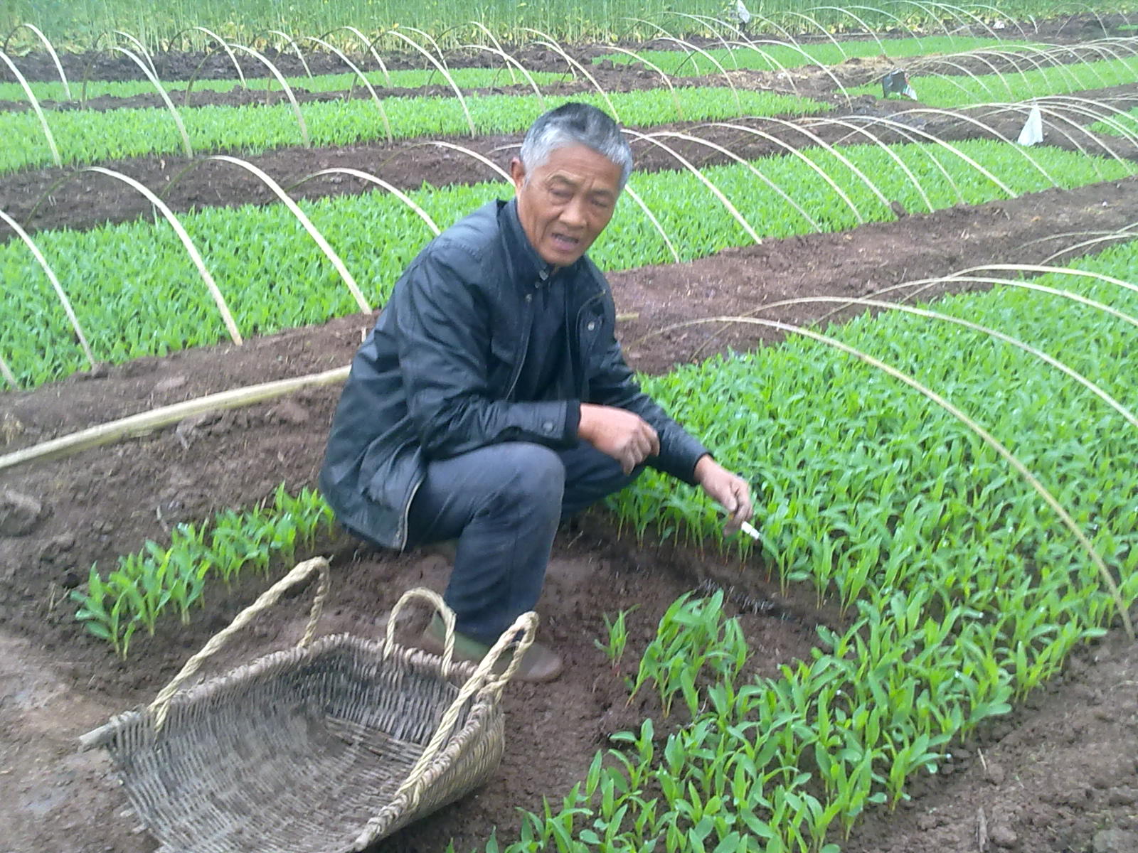 201303114004.jpg