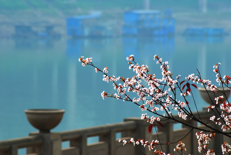 嘉陵江水绿如蓝