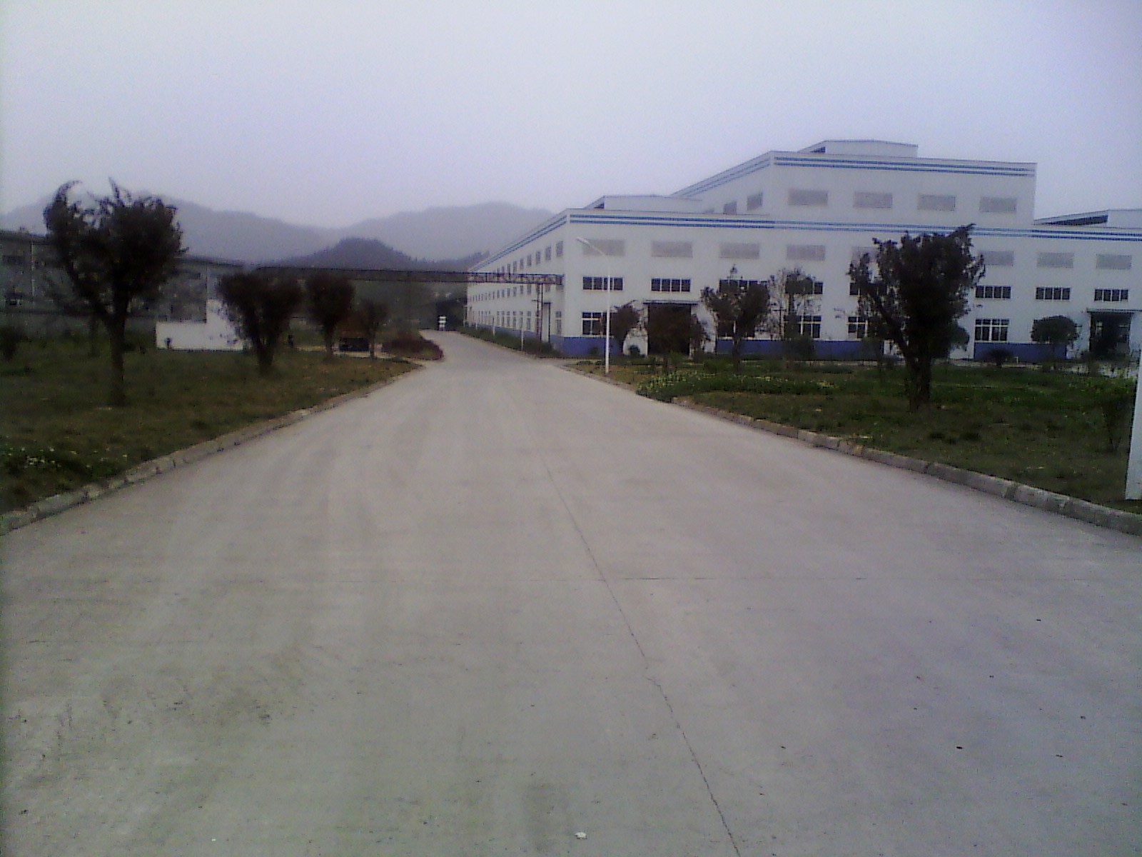 IMG_20130314_165827.jpg