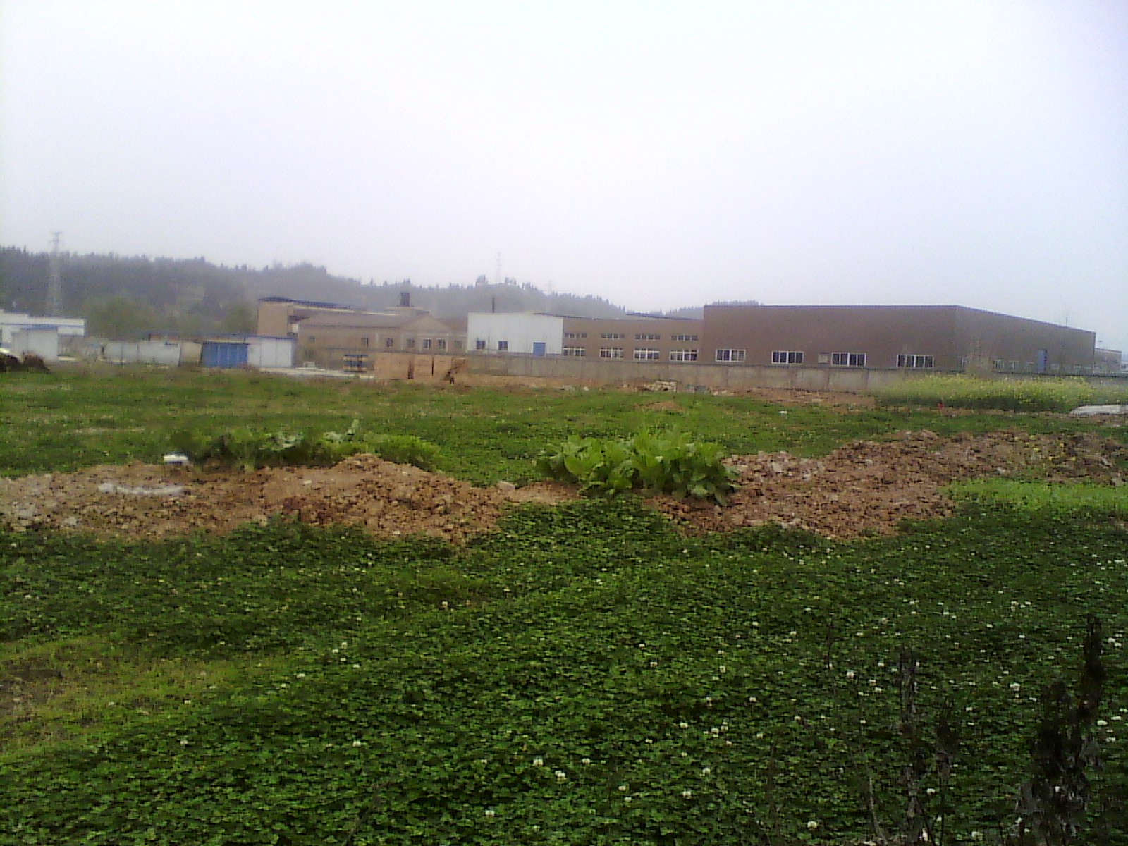 IMG_20130314_170538.jpg