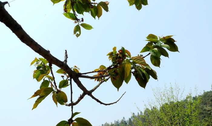 P1090373_.jpg