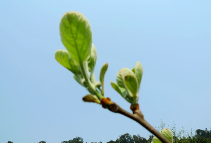 P1090377_.jpg