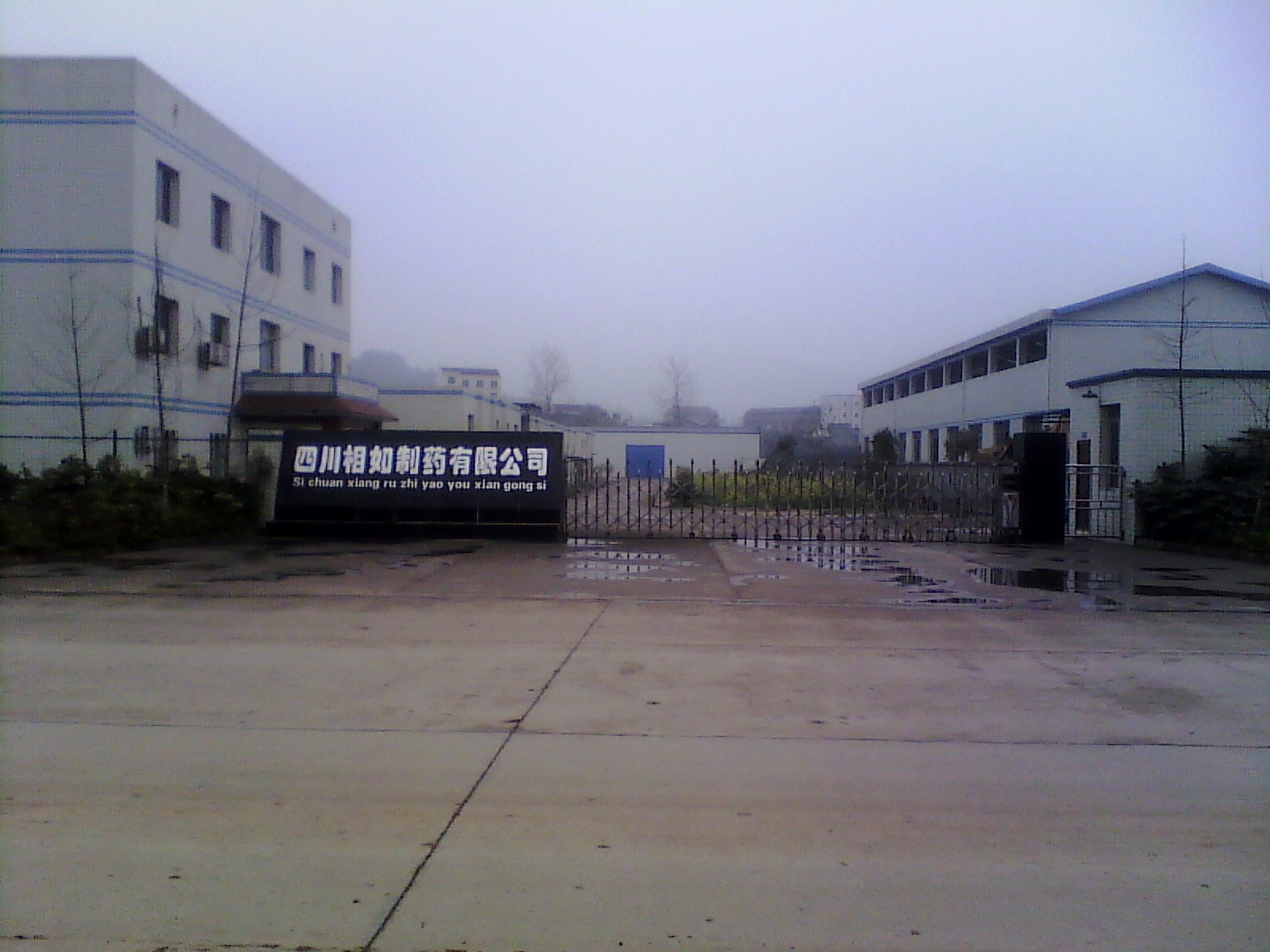 IMG_20130317_102612.jpg