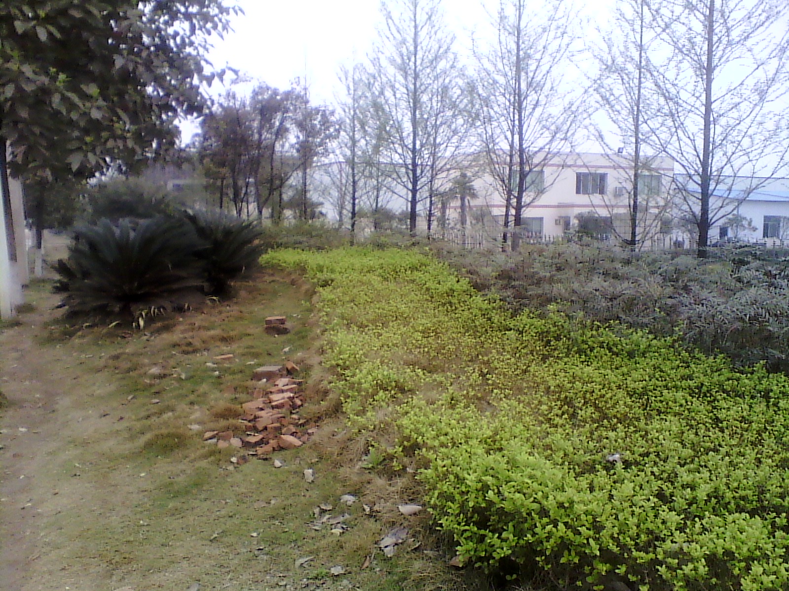IMG_20130317_103034.jpg