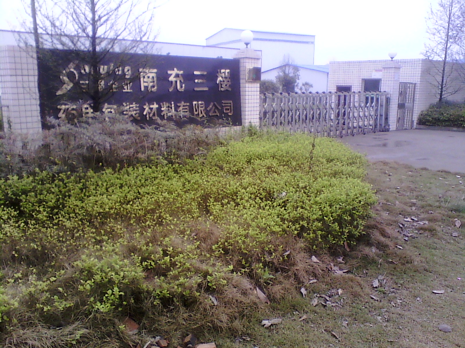 IMG_20130317_103059.jpg