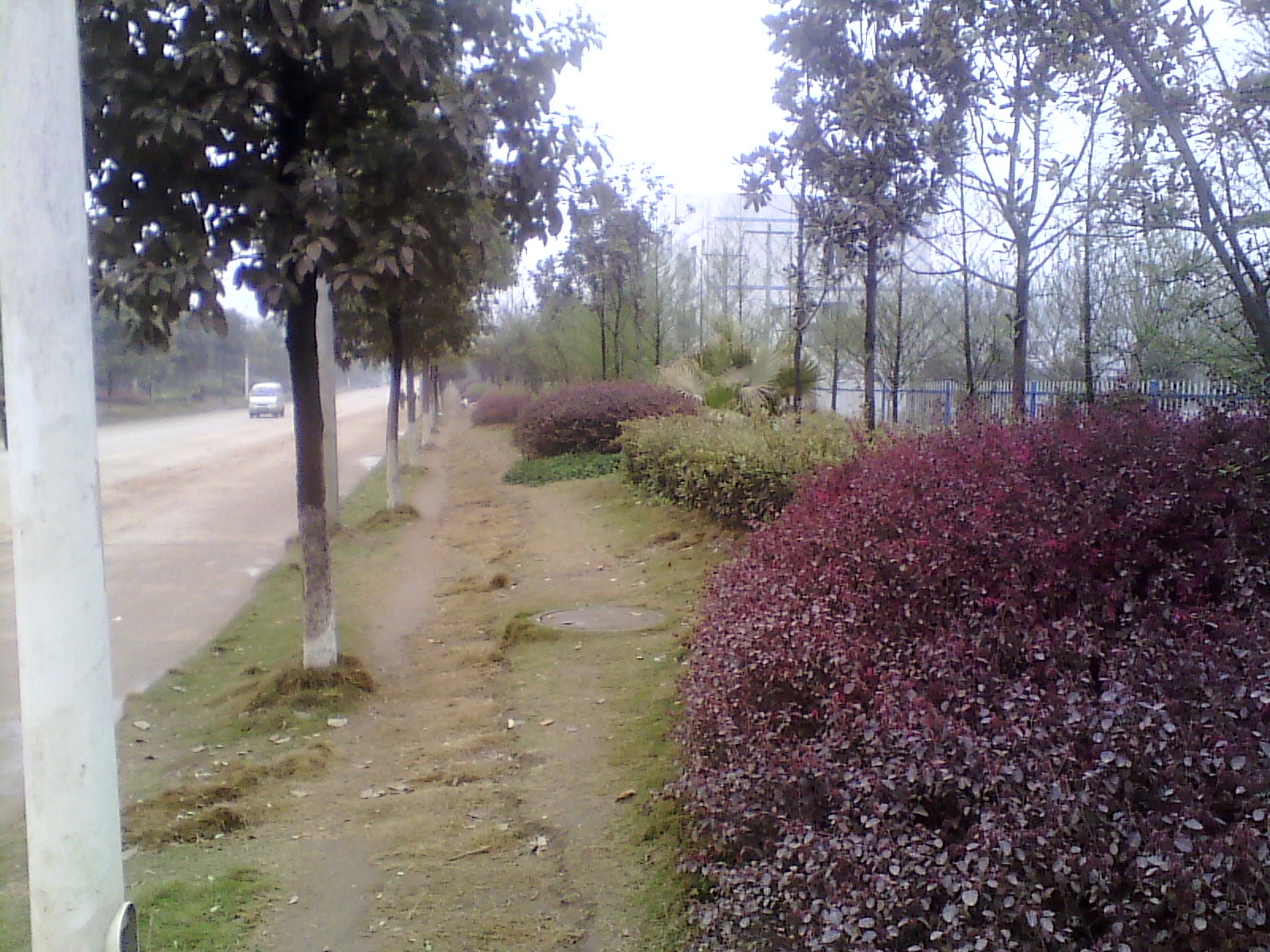 IMG_20130317_103612.jpg