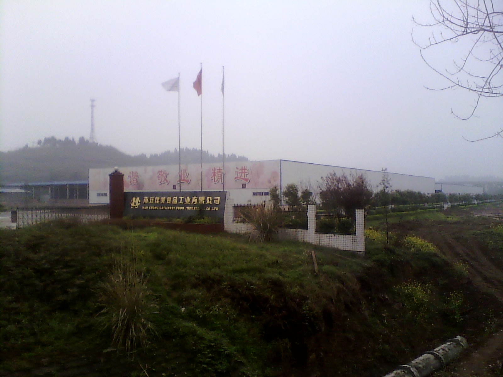 IMG_20130317_104734.jpg