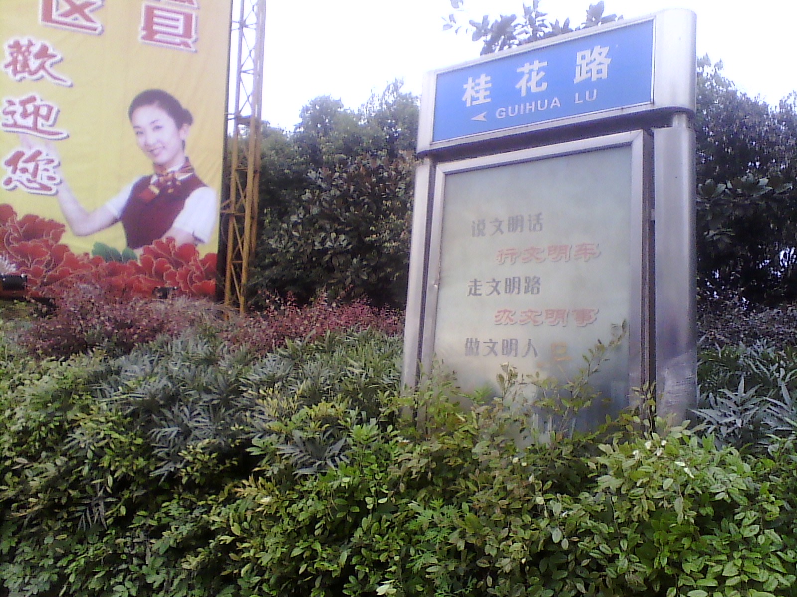 IMG_20130317_105118.jpg
