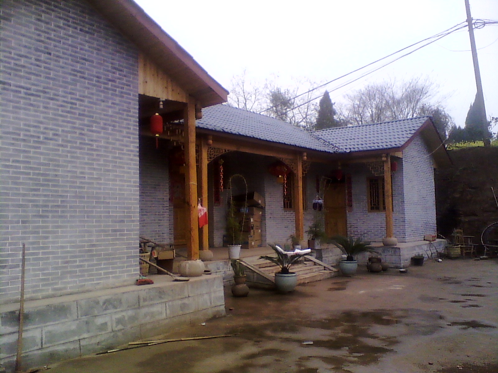 IMG_20130317_110550.jpg