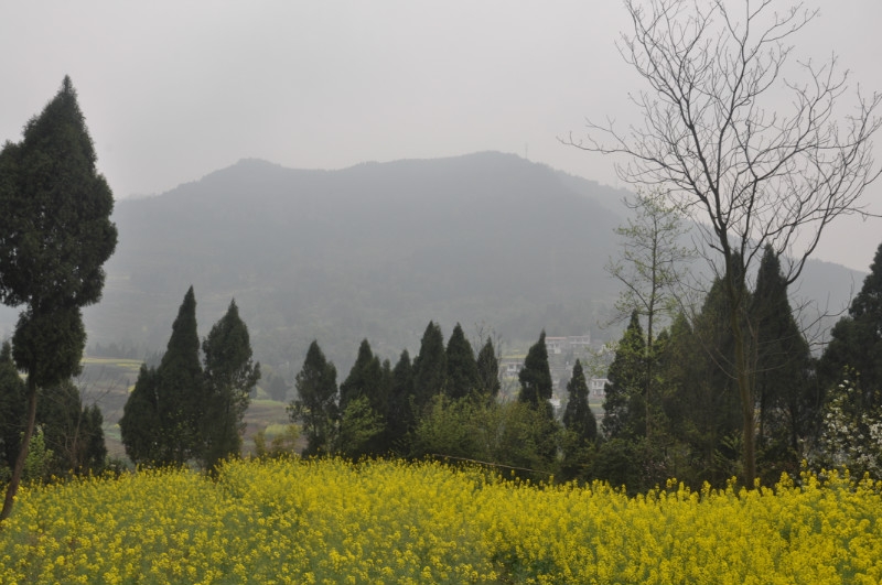 psbCA263979.JPG