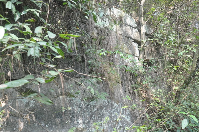 psbCAG1414H.JPG