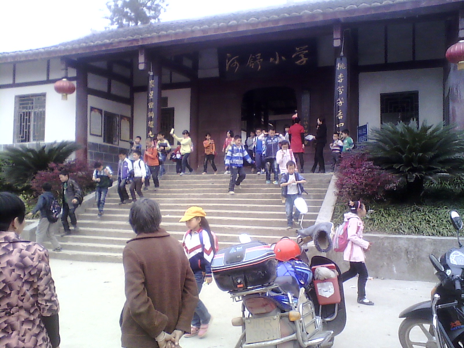 IMG_20130318_153956.jpg