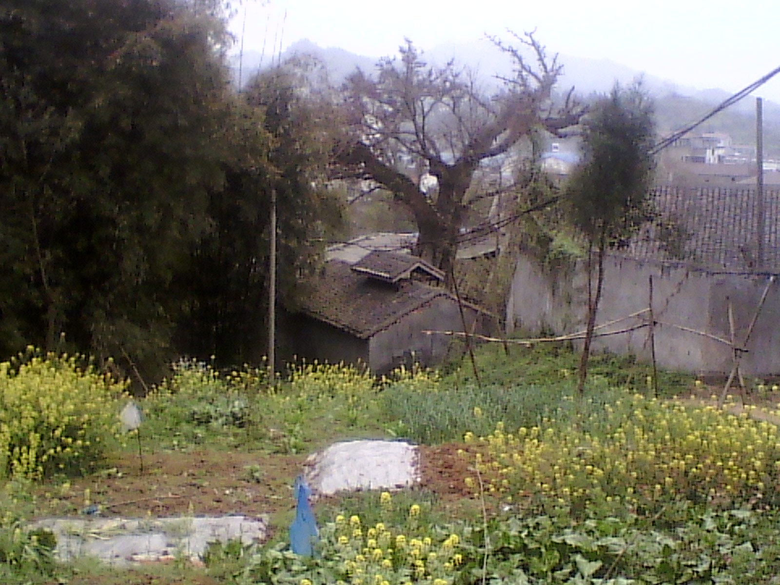 IMG_20130318_154421.jpg