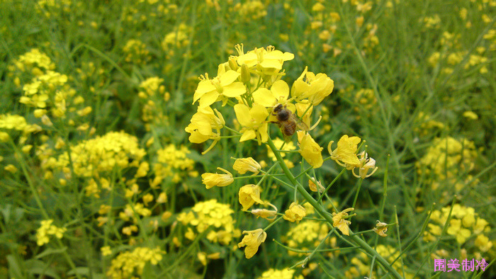 20130318313.jpg
