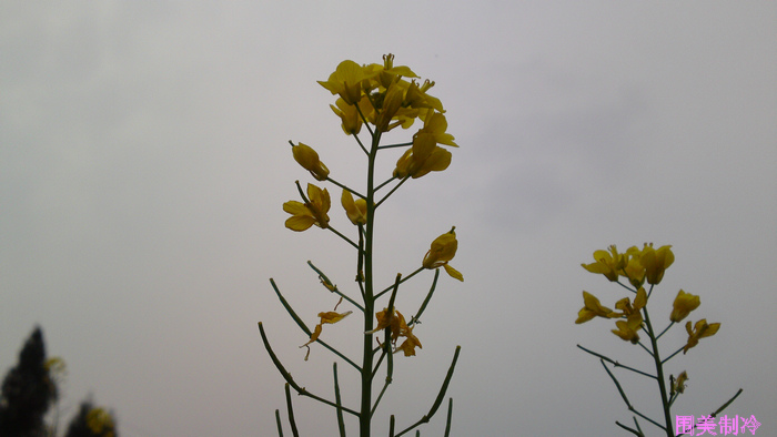 20130318297.jpg