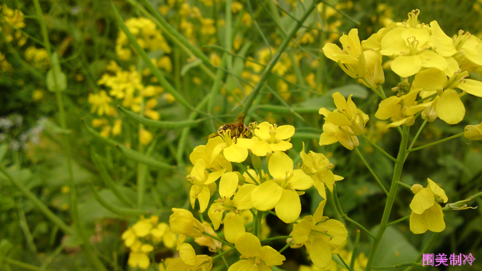 20130318323.jpg