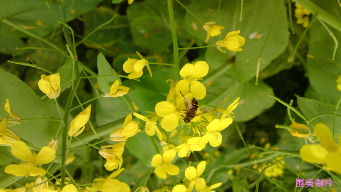 20130318325.jpg