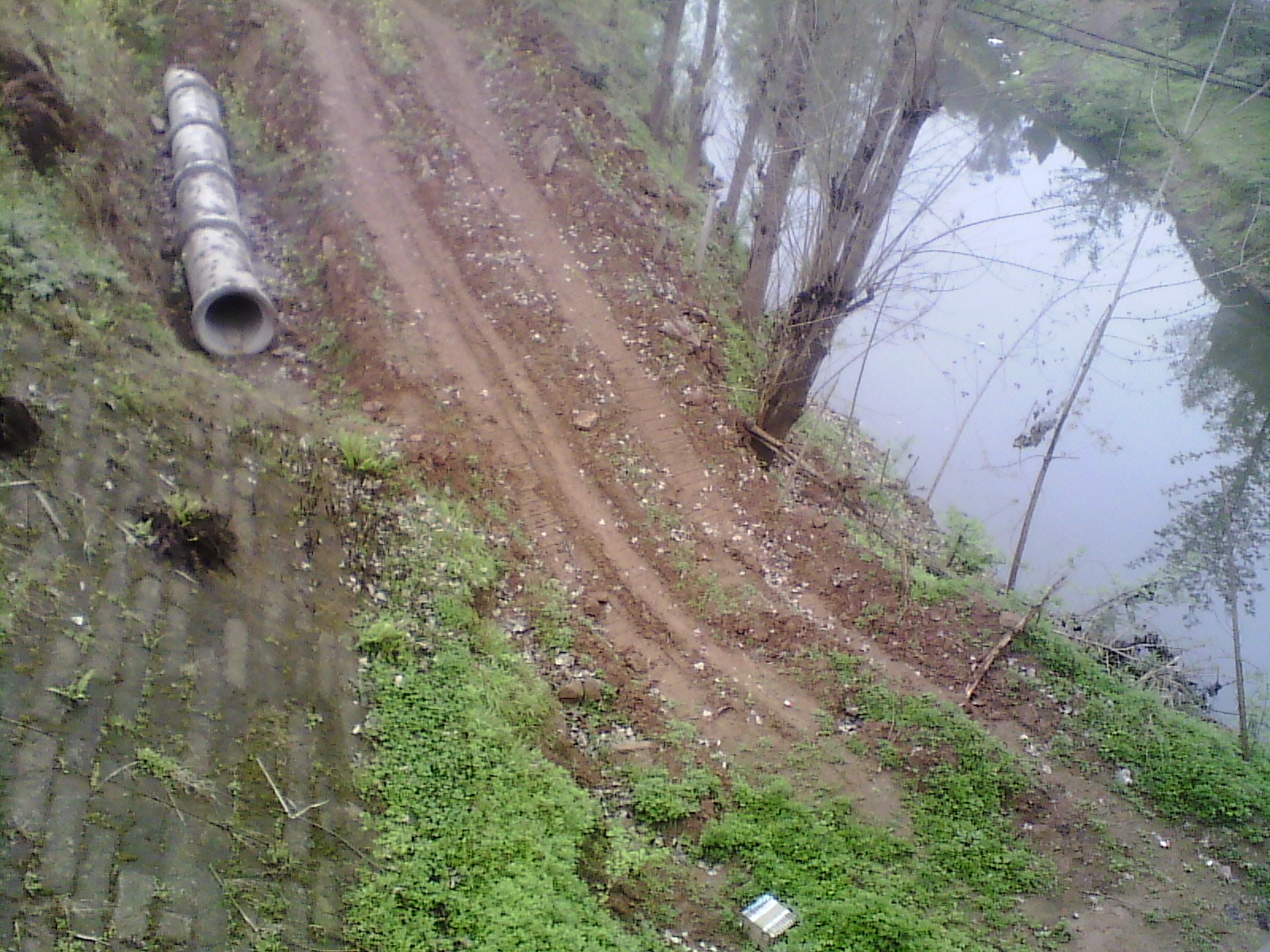 IMG_20130317_104650.jpg