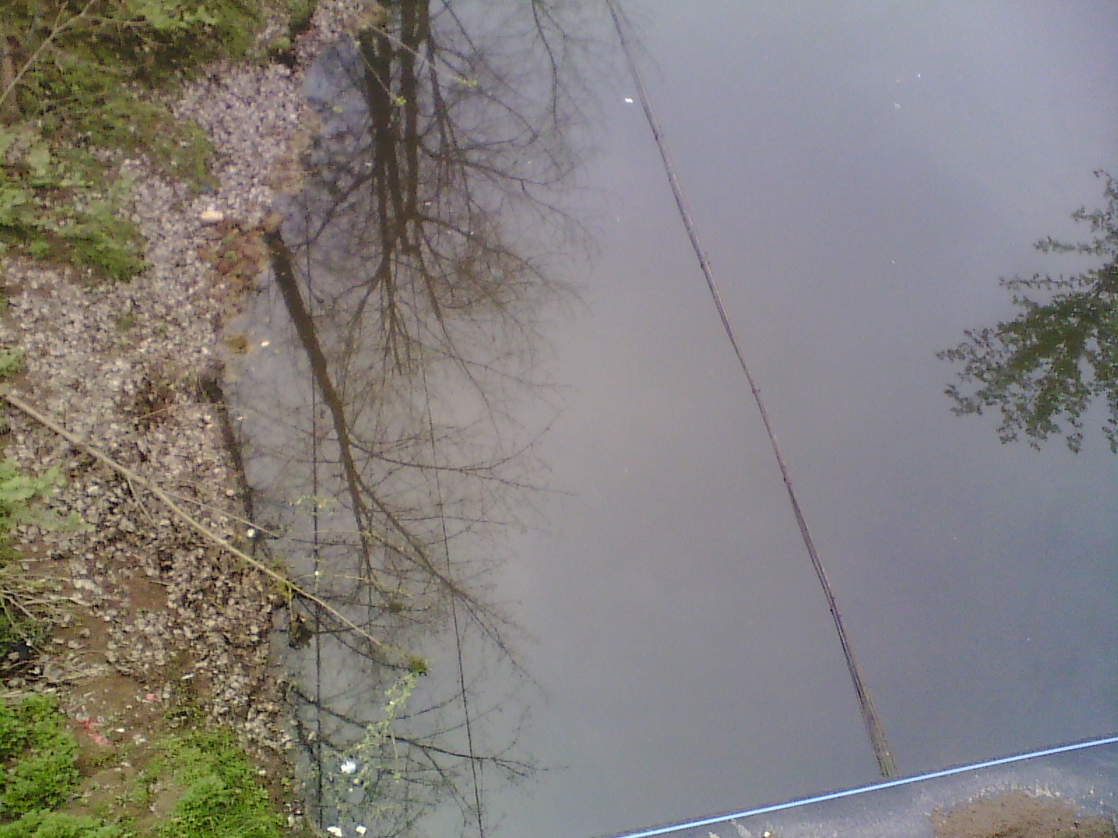 IMG_20130317_104808.jpg