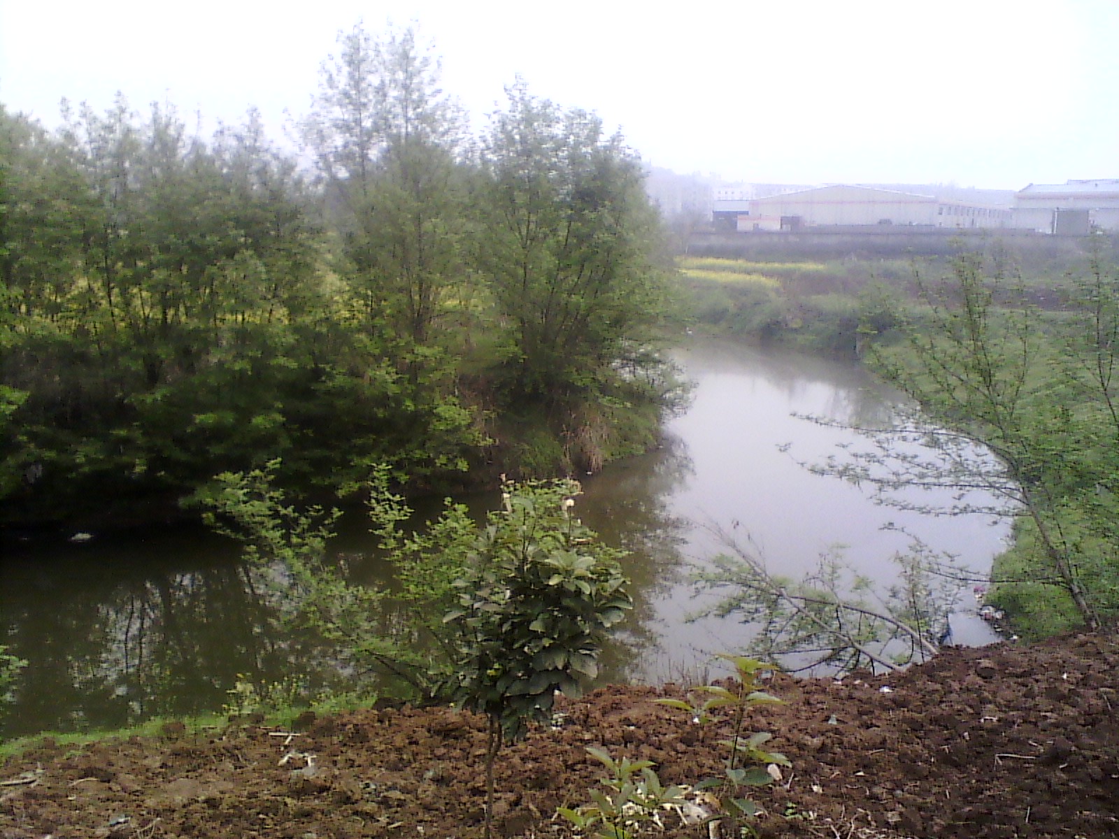 IMG_20130317_112212.jpg
