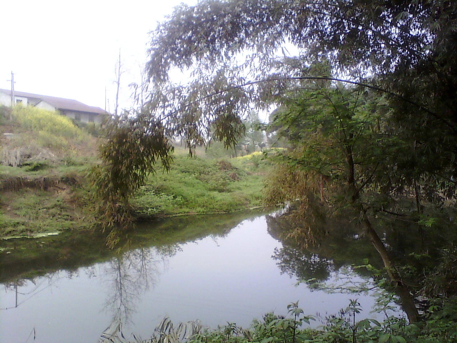 IMG_20130318_164632.jpg