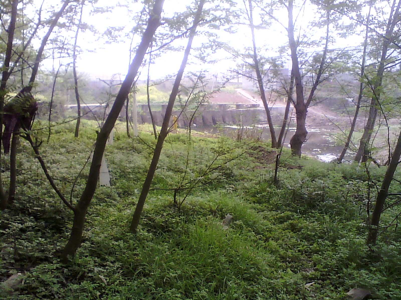 IMG_20130318_165710.jpg