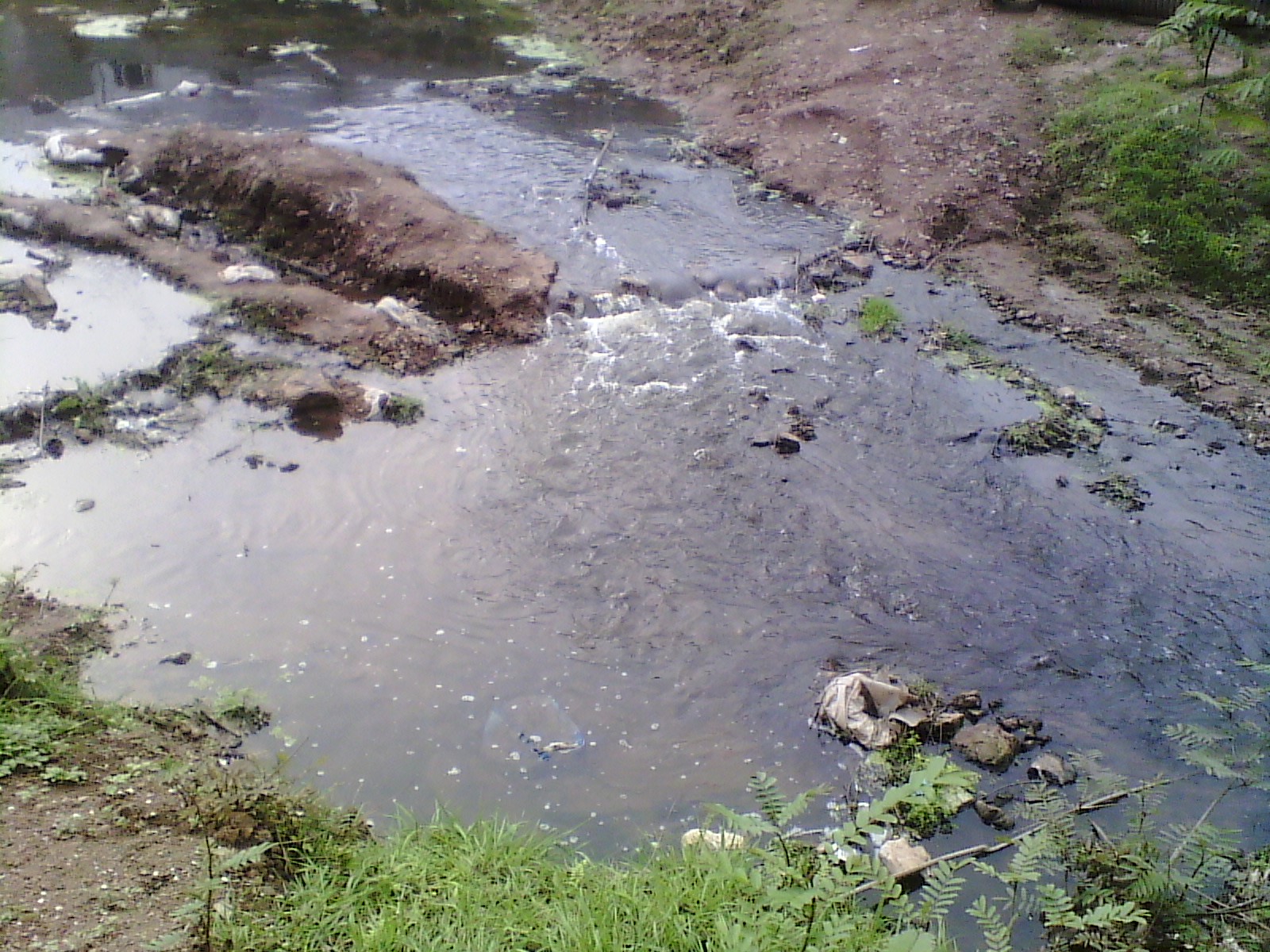 IMG_20130318_165822.jpg