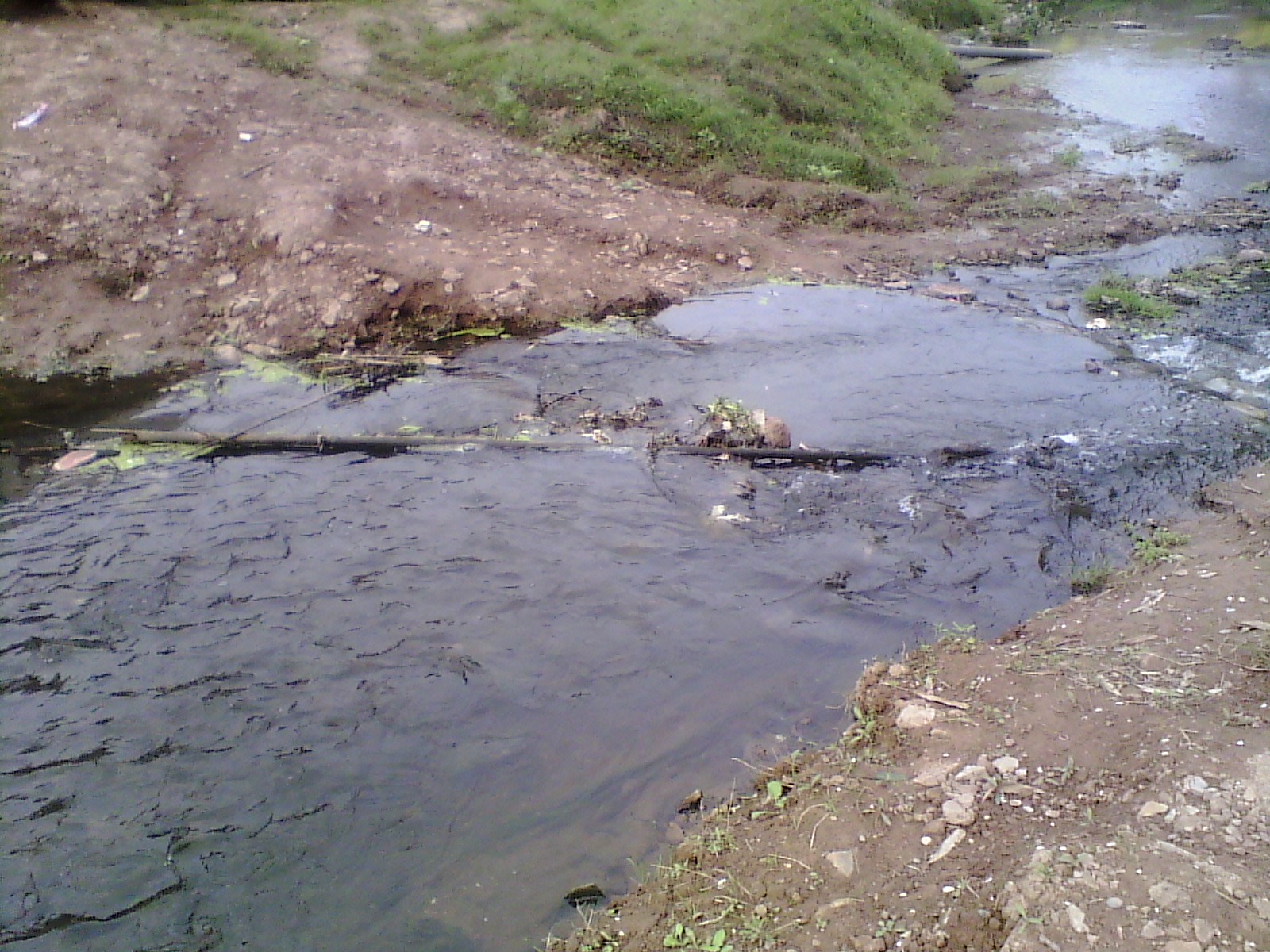 IMG_20130318_165853.jpg