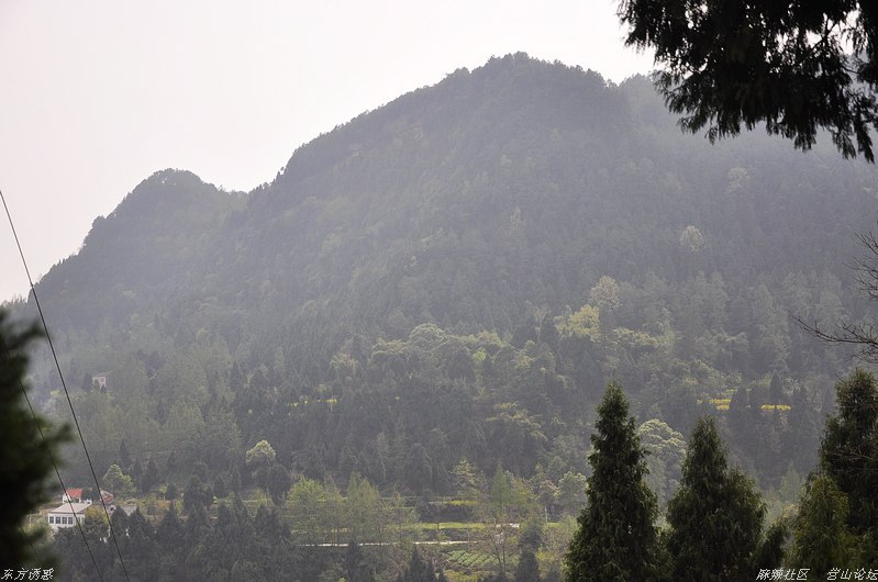 DSC_0019.jpg